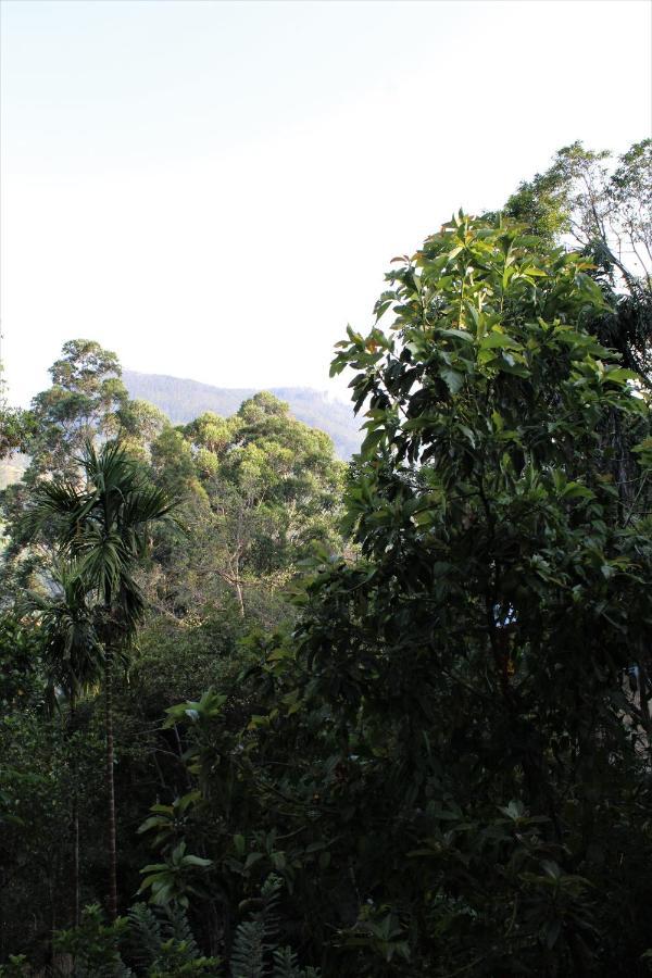 Amado Homestay Ella Exterior foto